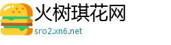 火树琪花网